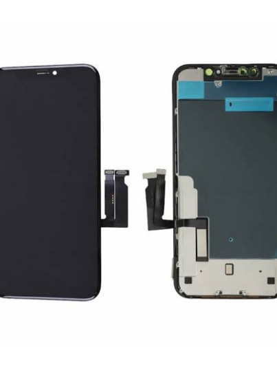 2026/05/68081.jpg